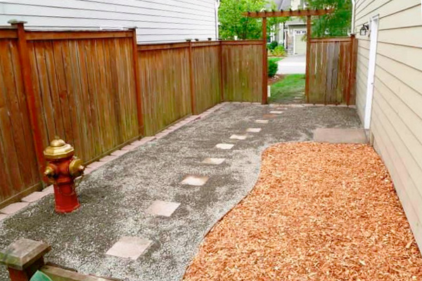 Dog Yard Feature
