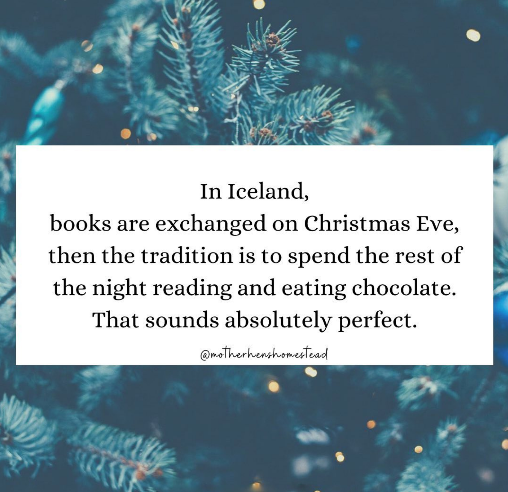 New Christmas Traditions