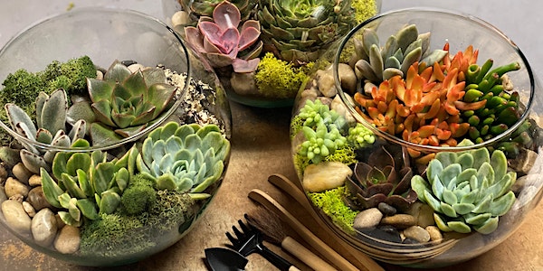 Build a Terrarium