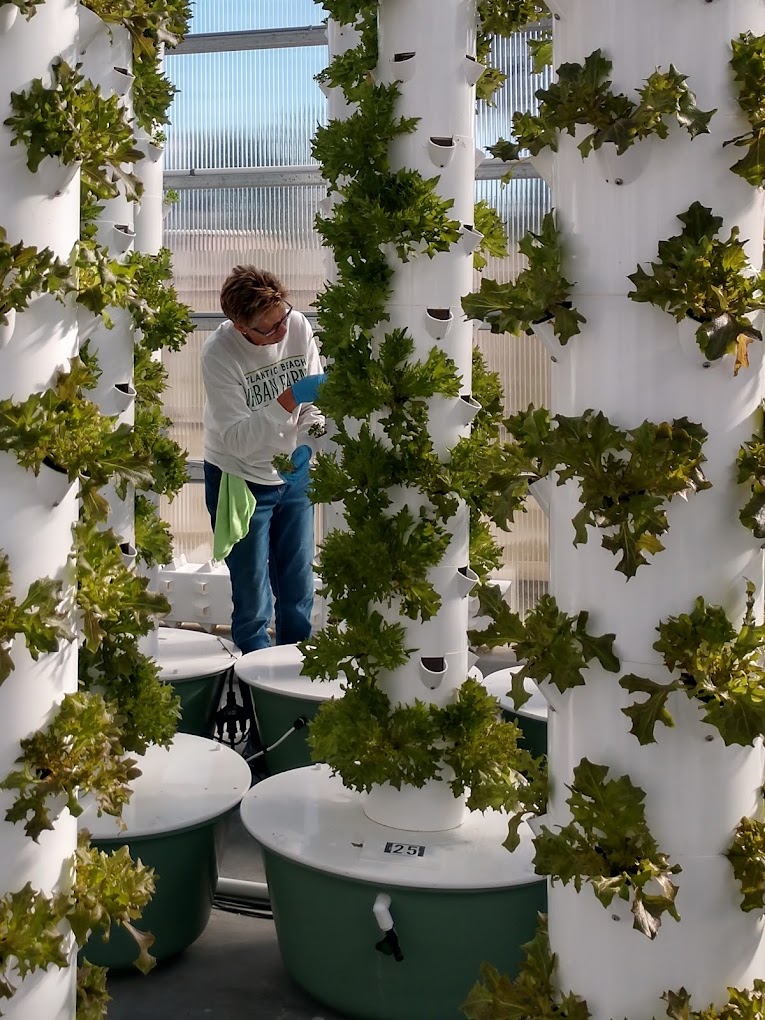 Spring Feature: Atlantic Beach Urban Farms