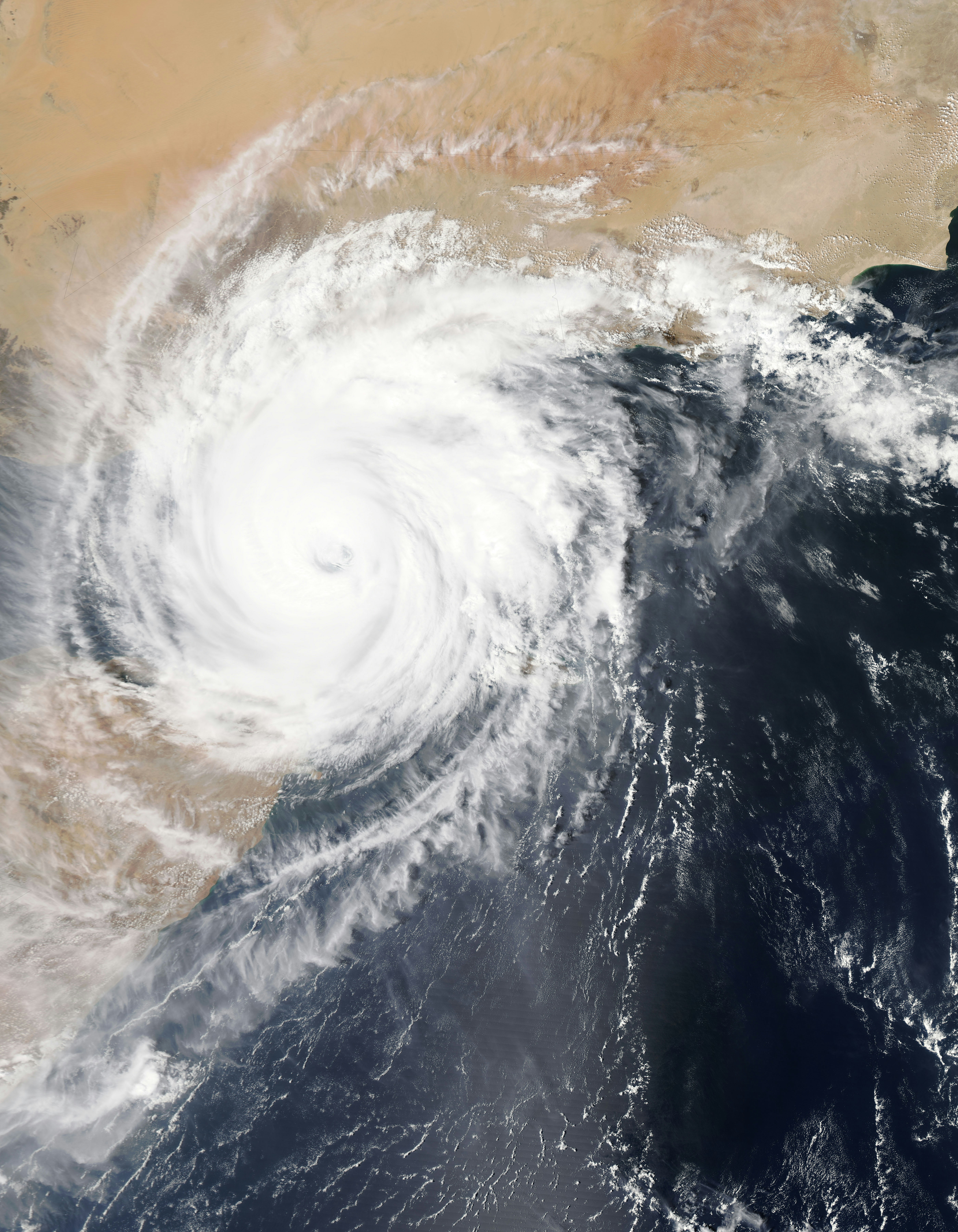 Hurricane Helene Relief