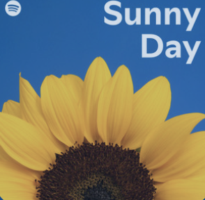 Sunny Day Playlist