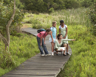 Summer Kids' Programs in Jacksonville
