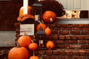 Halloween Yard Ideas