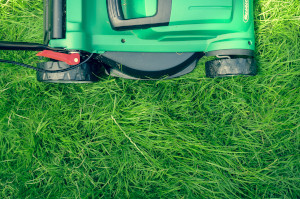 Prepping Your Lawn for Spring