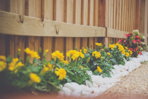 Enhance Curb Appeal with These Quick Wins