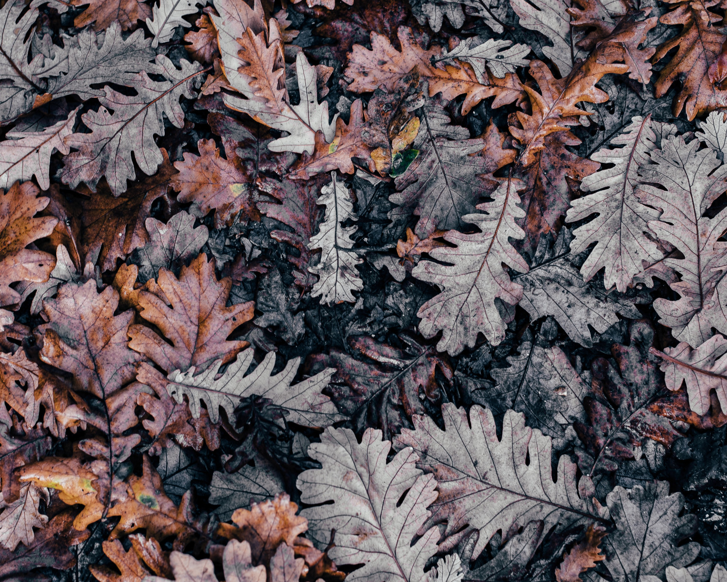 Prepare Your Landscape For Winter