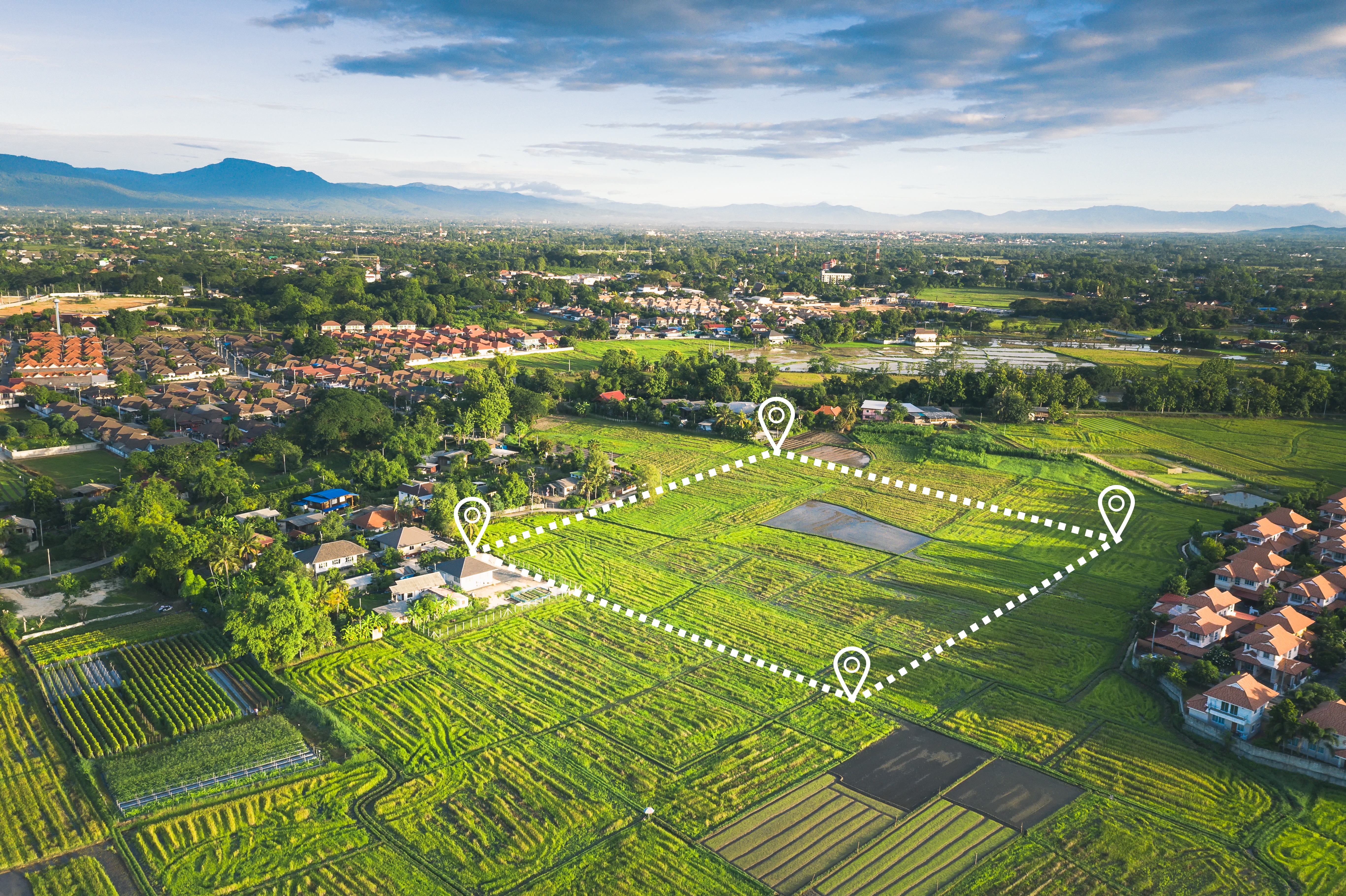 green fields and houses