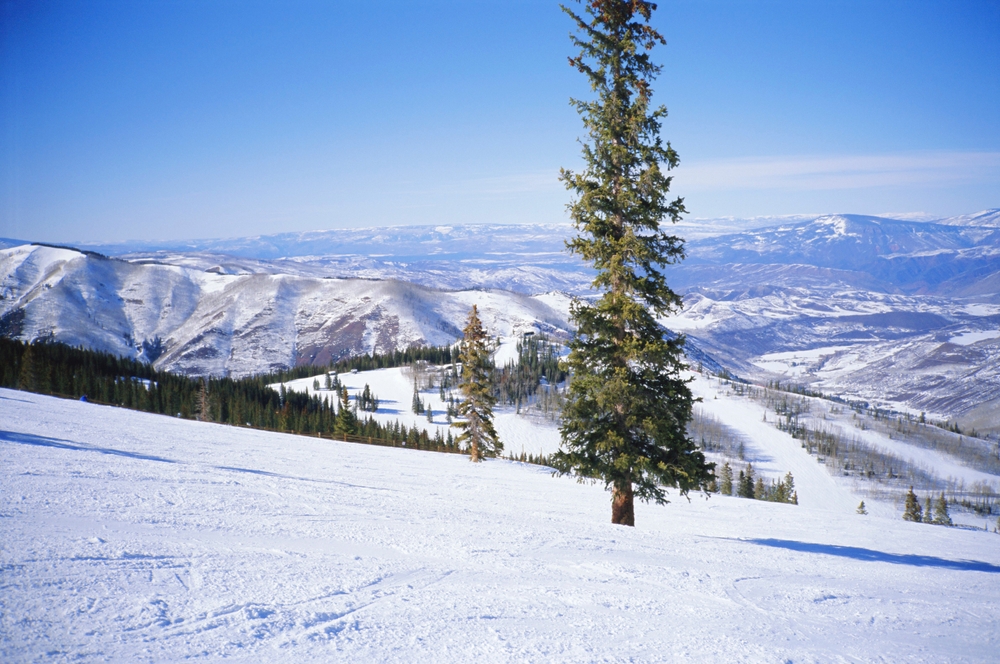 Aspen Horizons