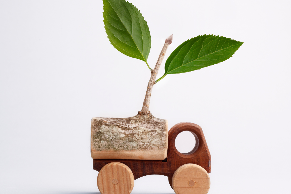 Eco-Friendly Accommodations