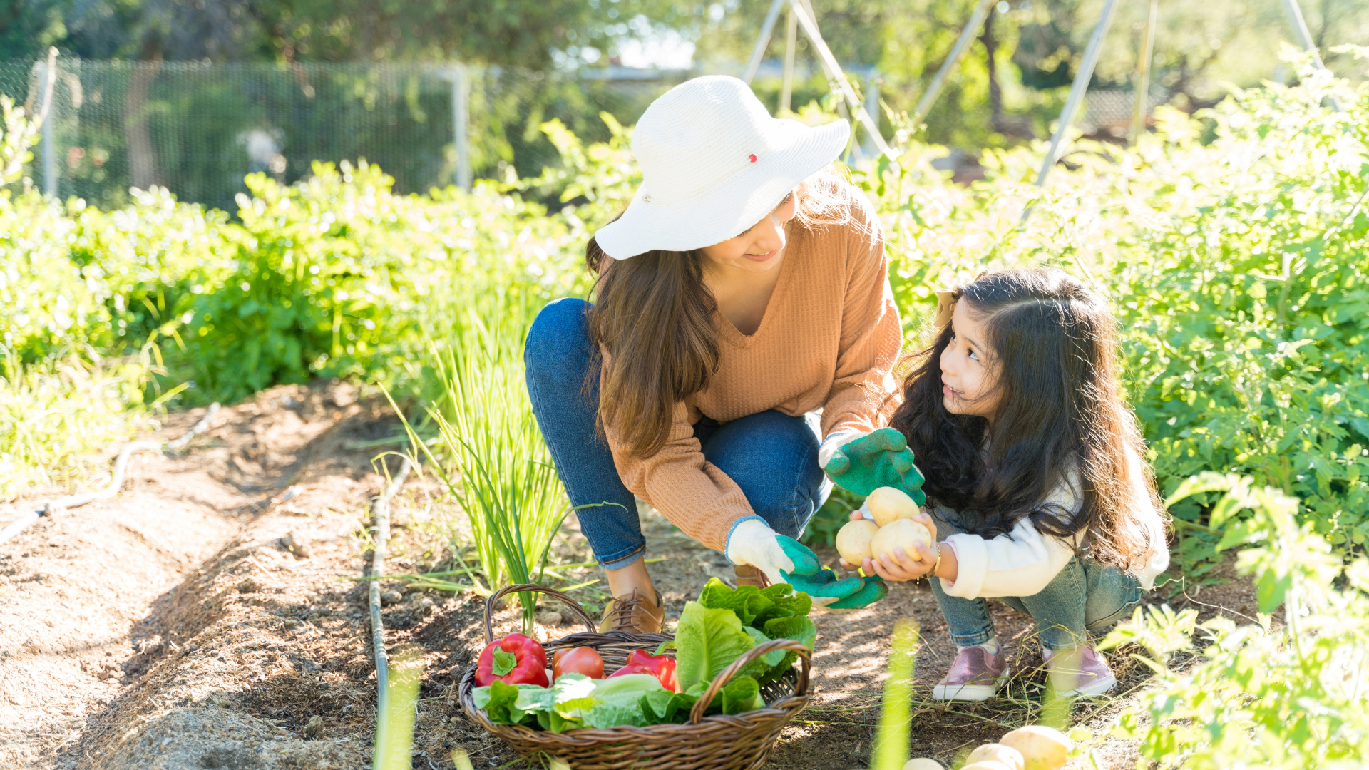 Homesteading