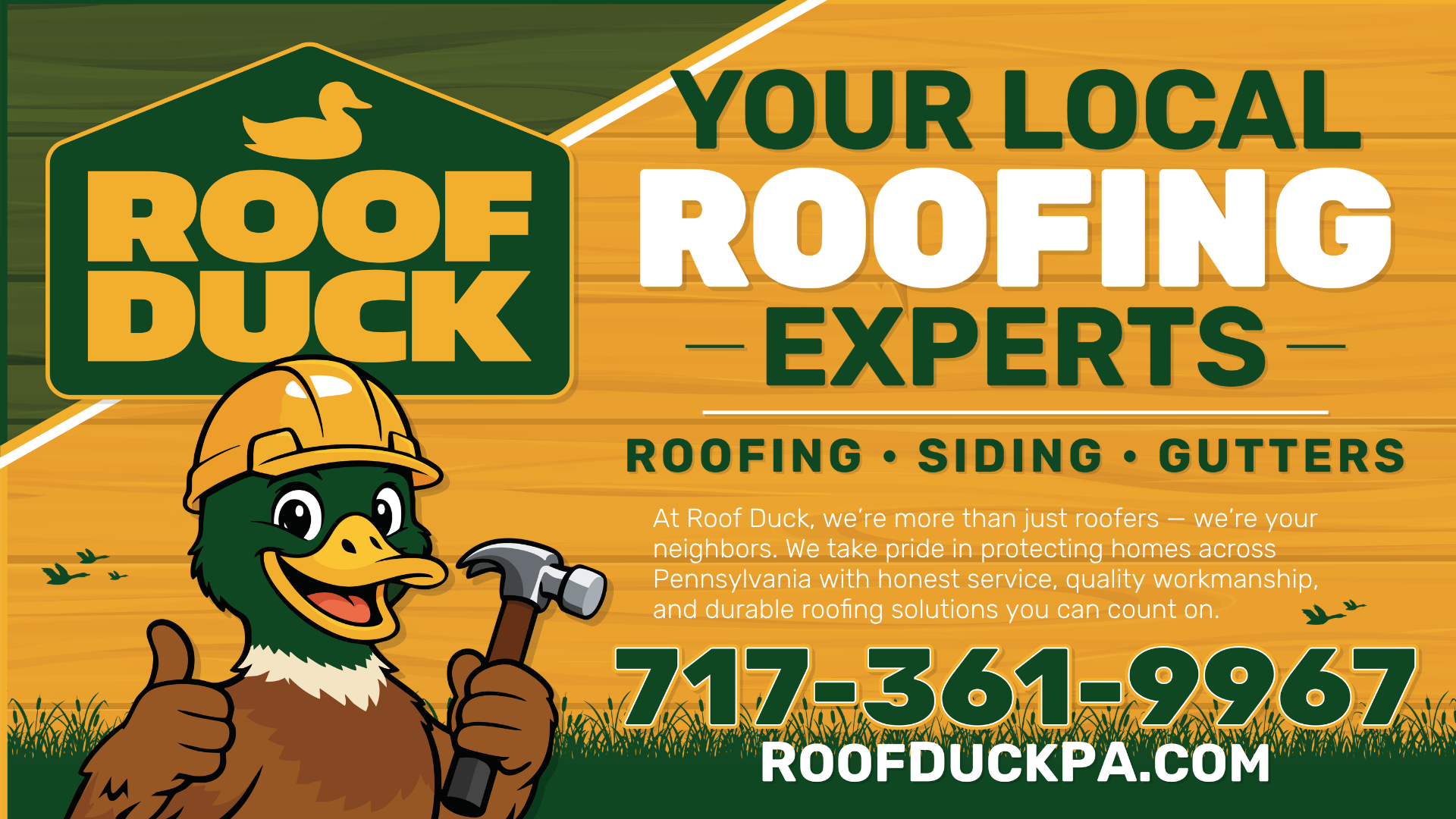 Roof Duck