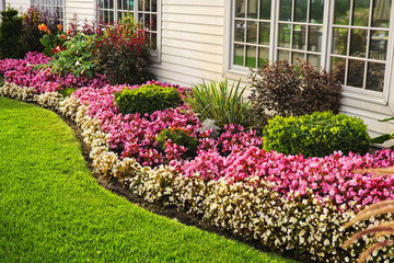 Develop A Landscape Plan To Fit Your Budget