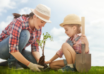 When’s the Best Time to Plant Trees?