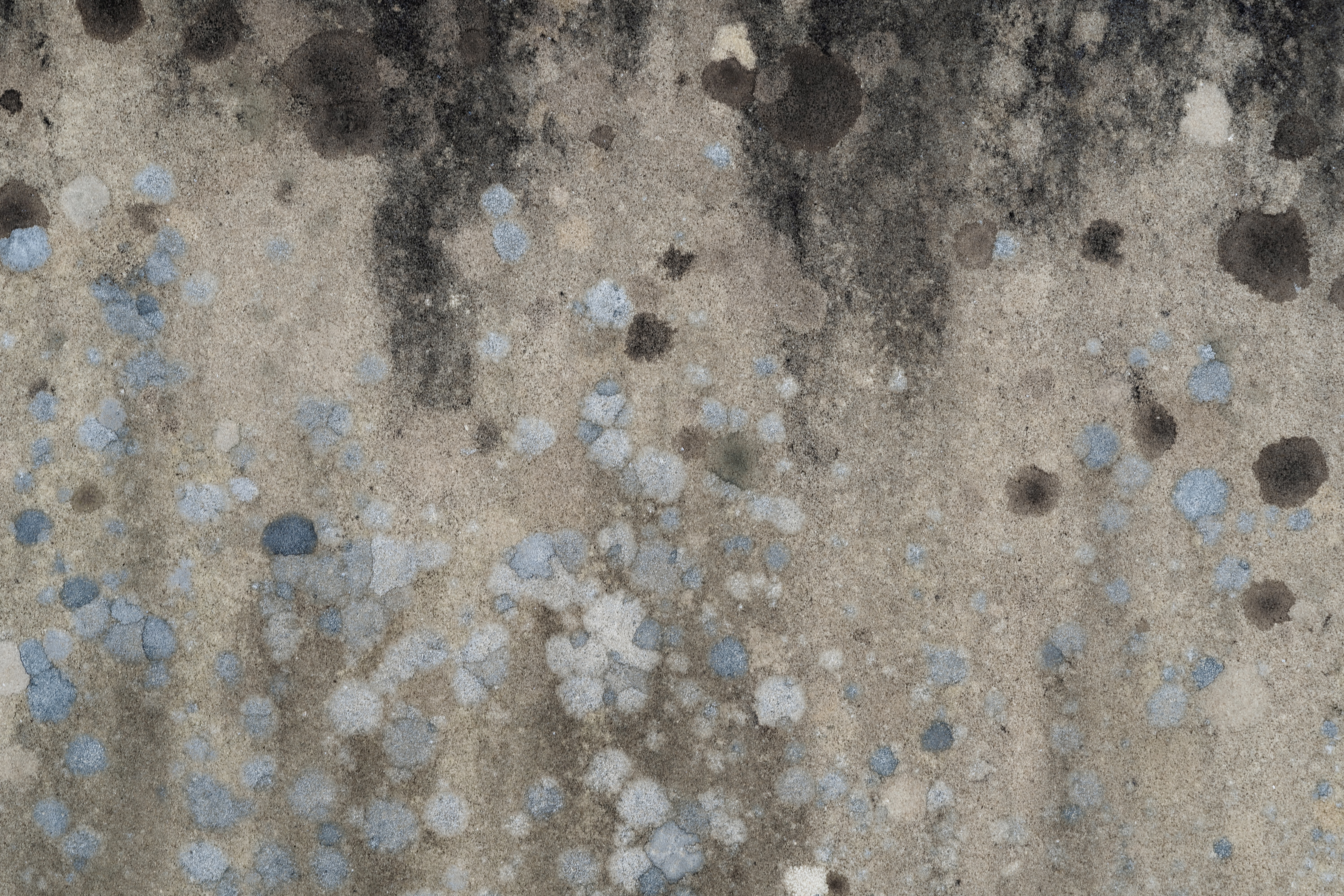 Keeping Mold at Bay