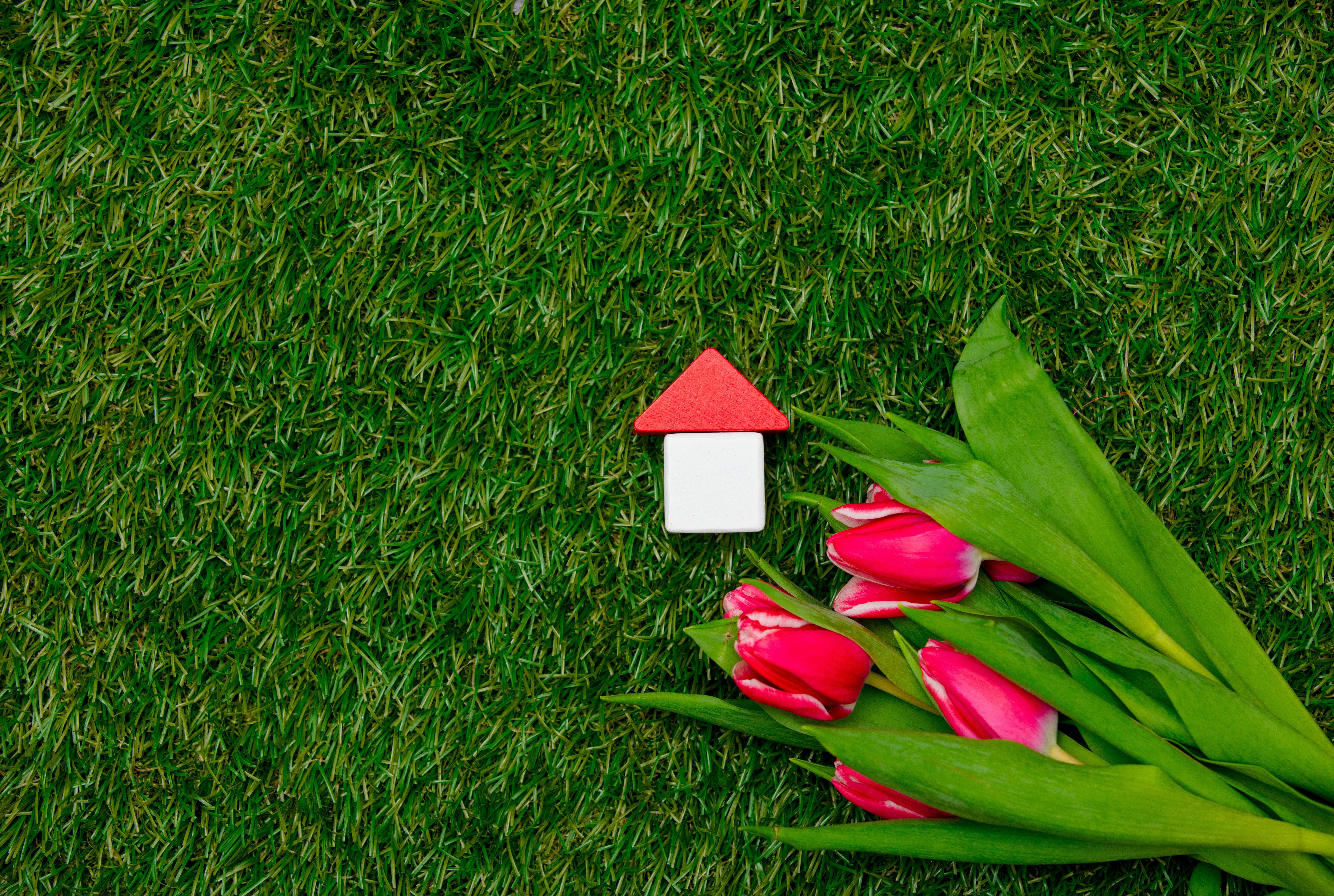 Miniature red-roofed house on lush green grass with vibrant pink tulips, symbolizing a fresh start or new ownership in spring.