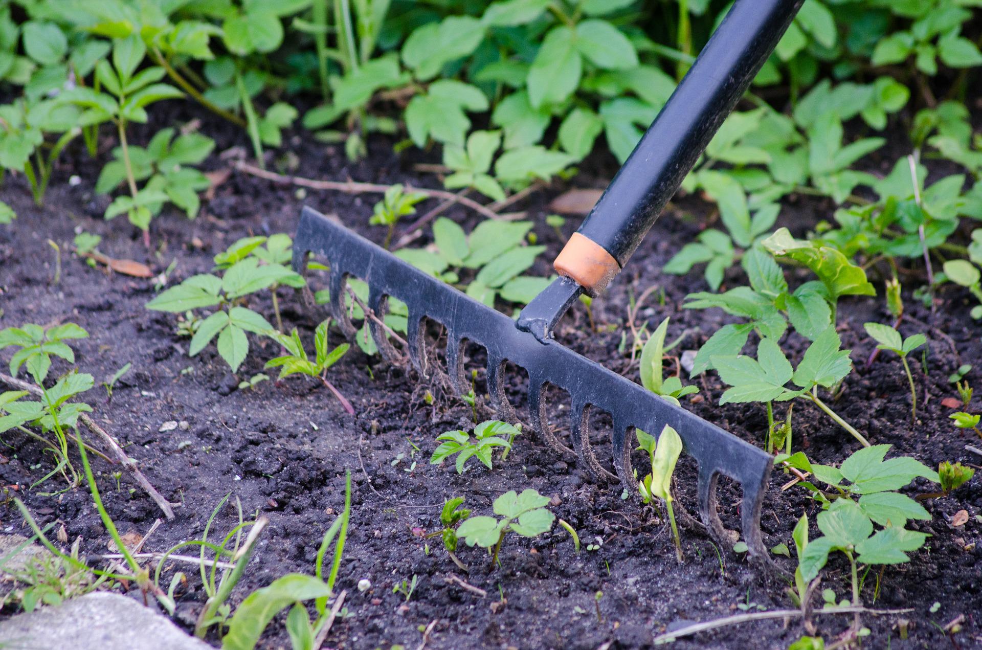 Your Spring Maintenance Checklist