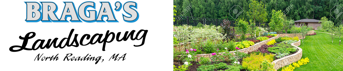 Braga Landscaping