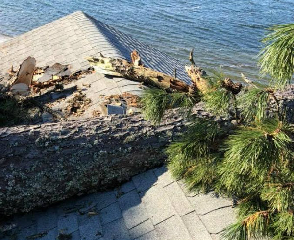 Giant Tree fallen on house roof in Cape Cod