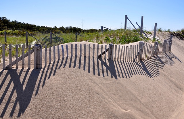 Dunes with a fence on a Cape Cod Beach in MA