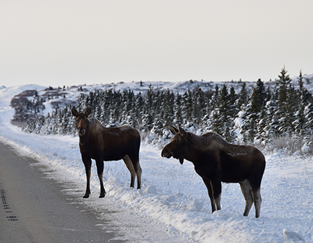 Alaska property challenges Who Benefits from Our Valuation Services?