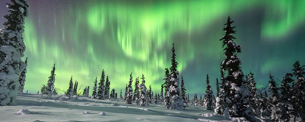 Alaska Utility Management Ensuring Seamless Utility Coordination for Alaska REO Properties