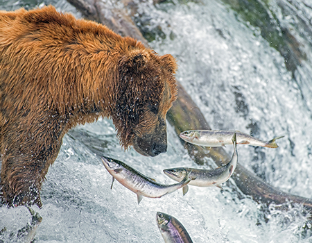 Alaska property in winter Navigating Alaska's Strict Legal Requirements