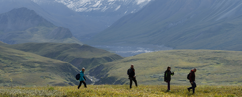Alaska Utility Management