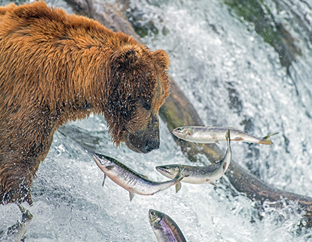 Alaska Winter Utility Management