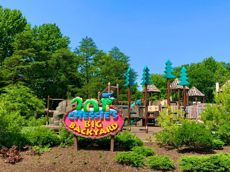 Top Best Family Friendly Playgrounds in Northern Virginia