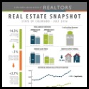 July 2016 CO Association of Realtors Snapshot