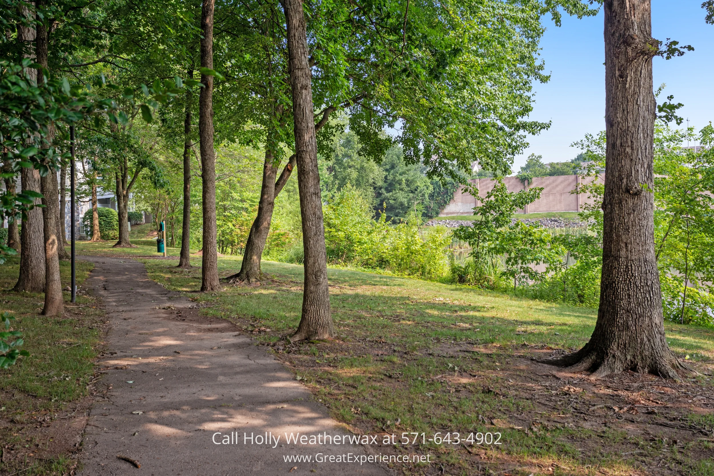 A scenic path in a park lined with trees