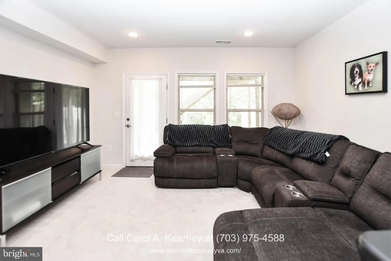 Lower-level living area at 19873 Silvery Blue Ter in Ashburn, VA, featuring a spacious family room with plush carpeting, large seating area, recessed lighting, and direct access to windows and a door overlooking wooded views in the Lexington 7 55+ community.