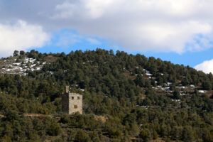 Day trips from Reno - Austin Stokes Castle