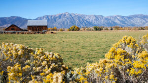 Day trips from Reno - Unionville