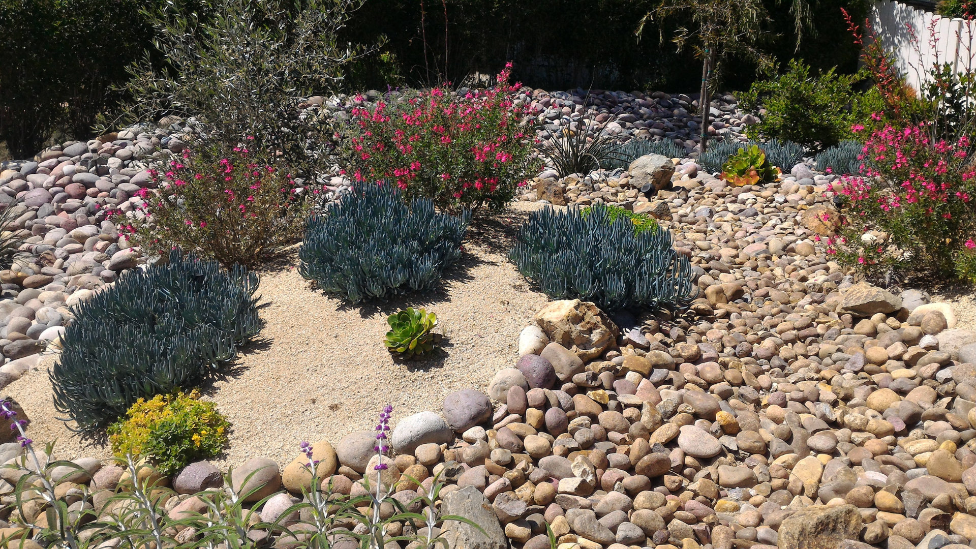 high desert garden design reno waterless feature