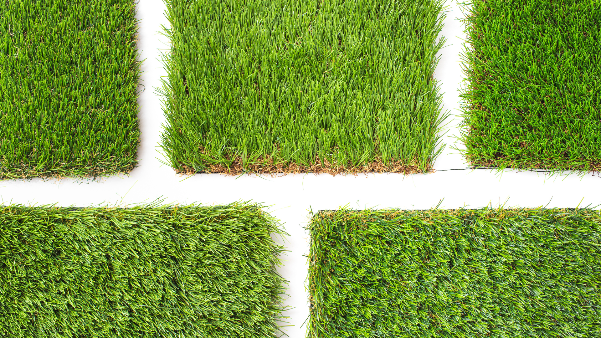 northern nevada drought tolerant fake grass example