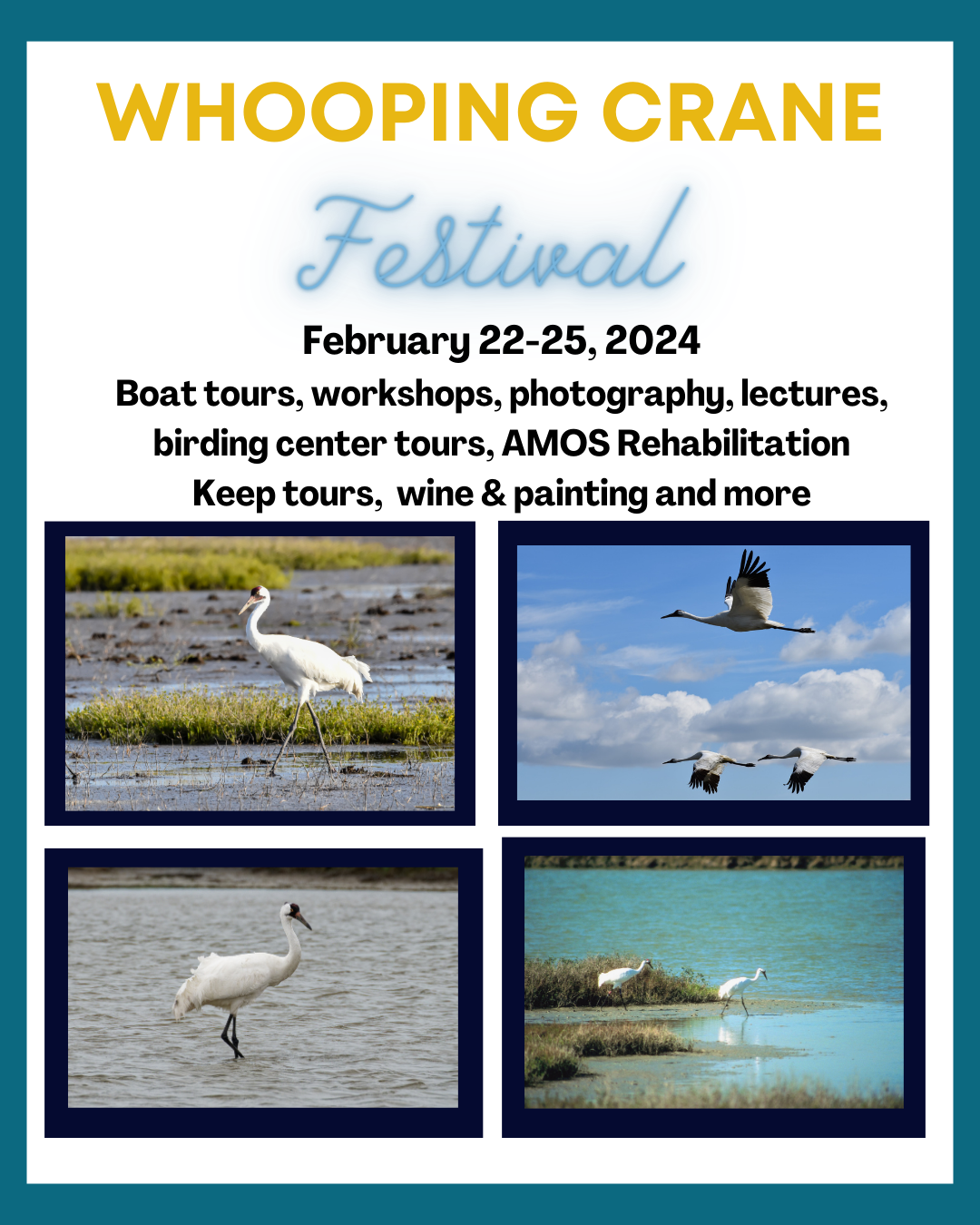 Whooping Crane Festival Port Aransas 2024