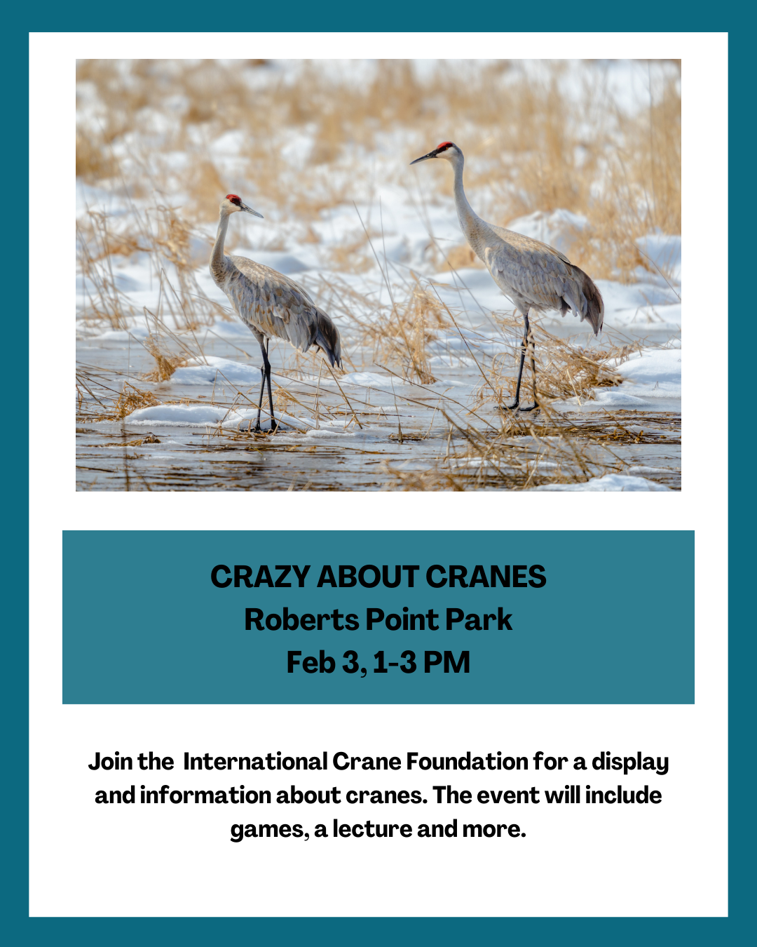 Whooping Crane Informational Event in Port Aransas