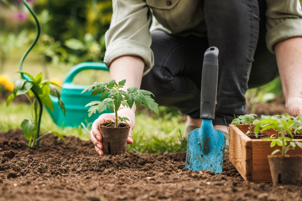 organic gardening