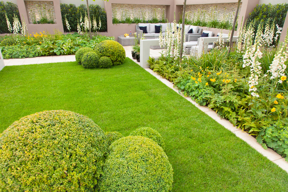 modern aesthetic gardening and landscaping