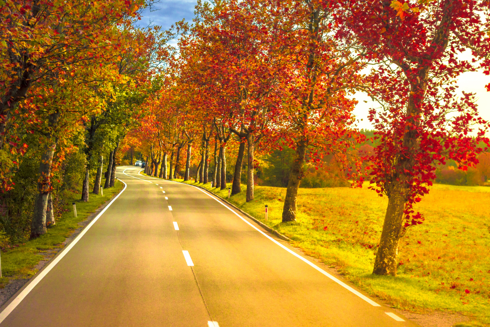 fall country road farmhouse