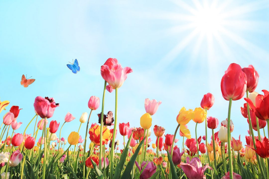 UPCOMING LOCAL EVENTS – Montgomery County, PA