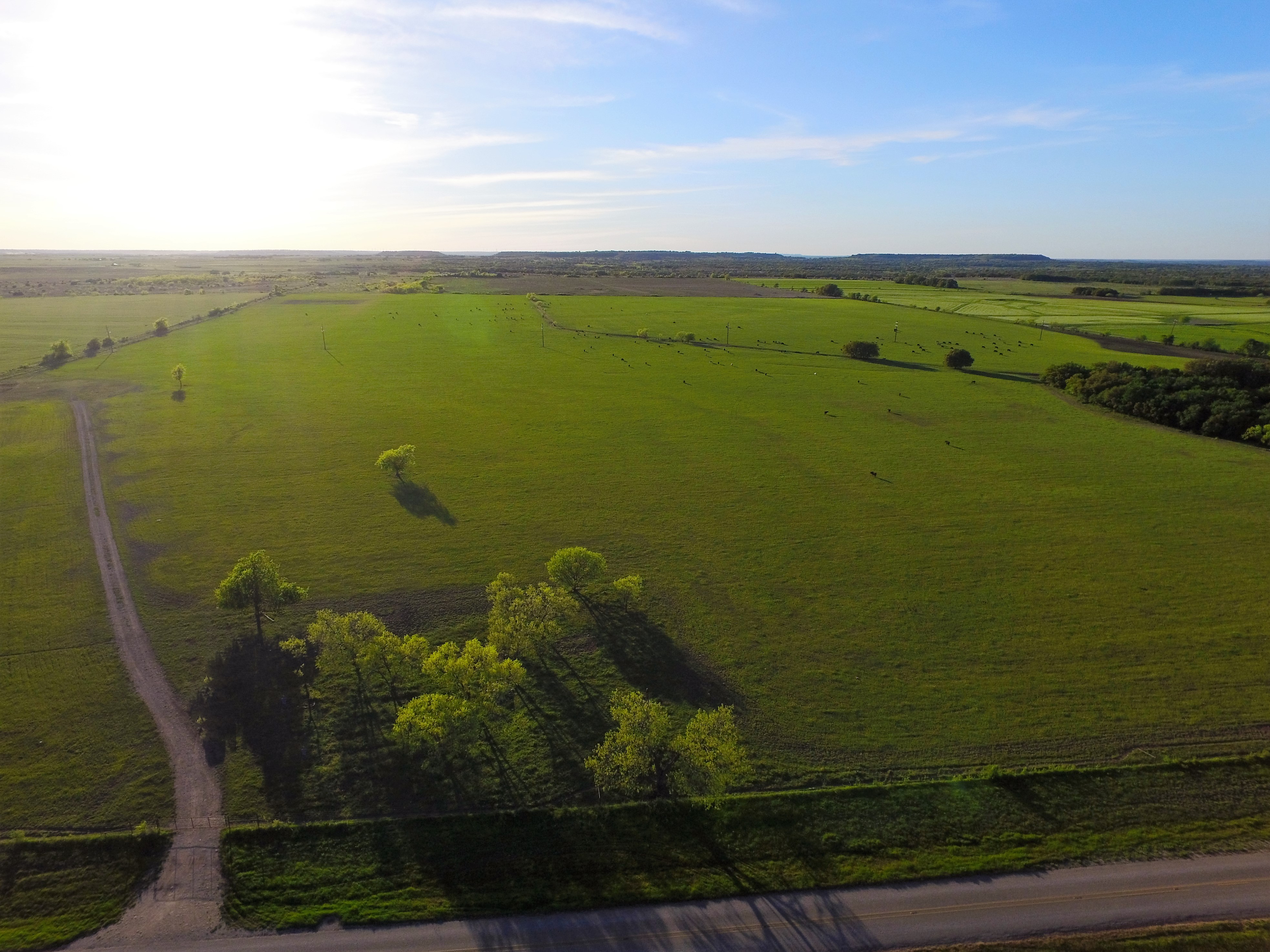 Brian Haile Haile Realty Group Keller Williams Farm and Ranch