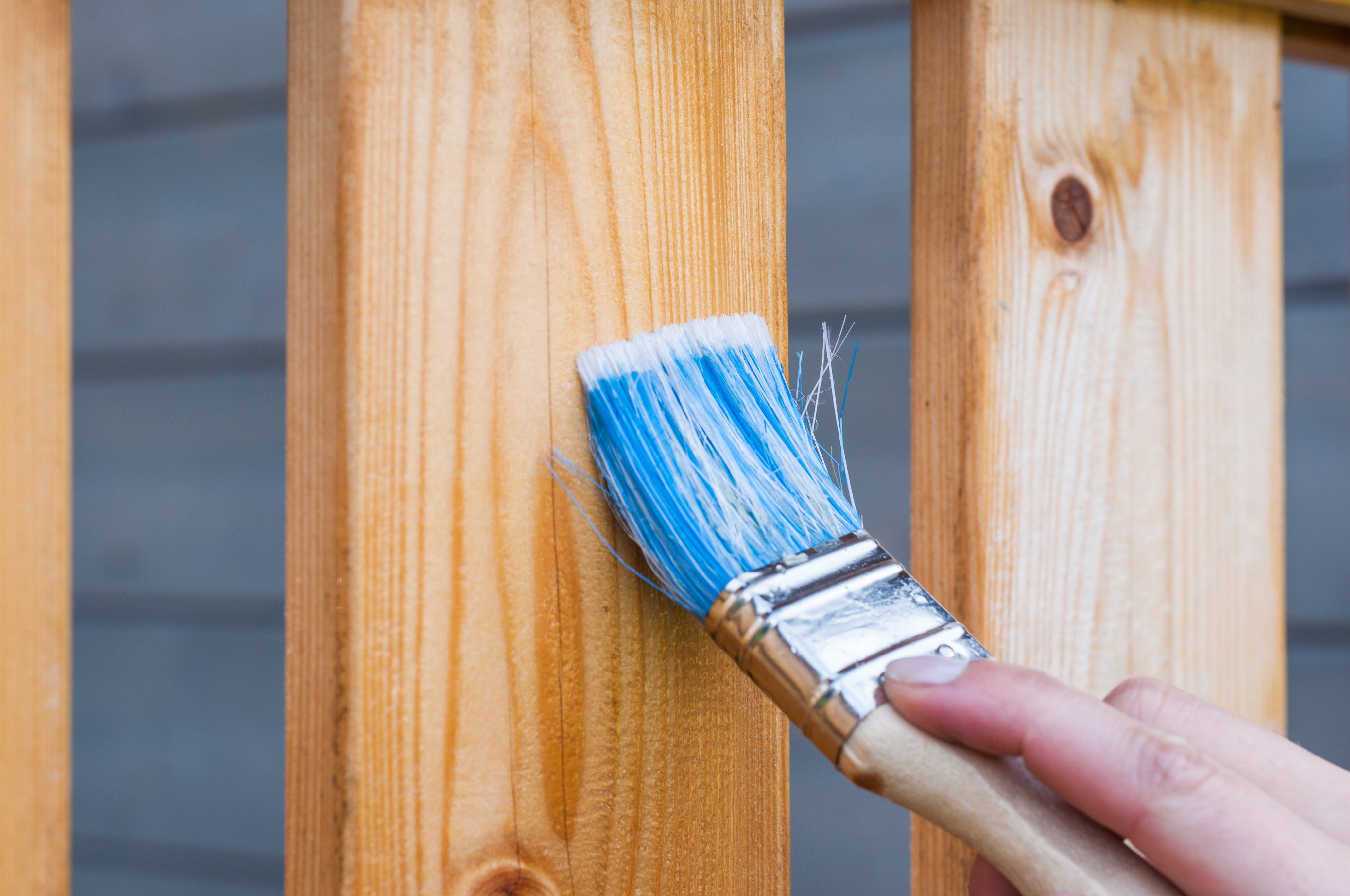 varnishing wood fence with brush