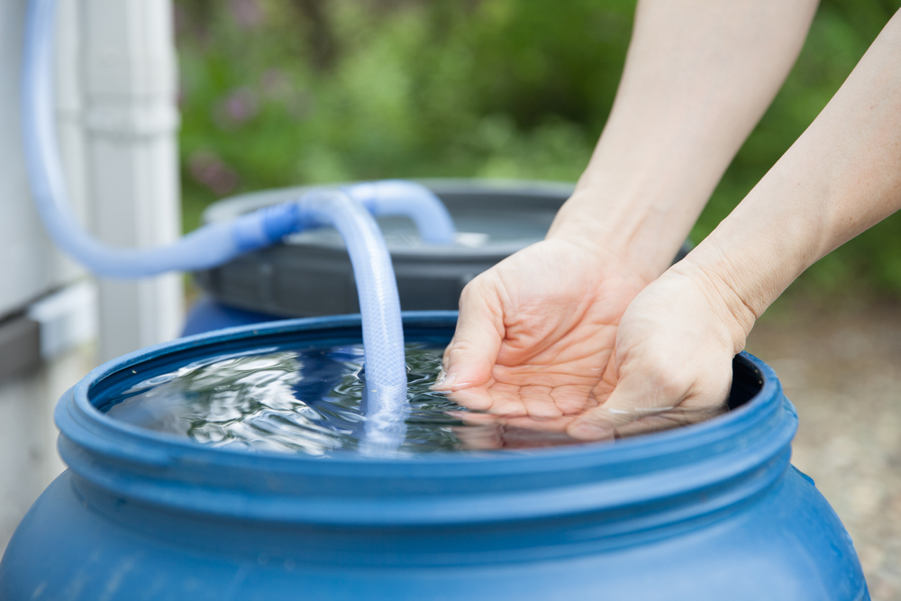 a-person-getting-water-from-the-container a person getting water from the container