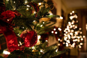 Entertain with Style at the Holidays