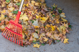 Don’t Miss Fall Home Maintenance! 