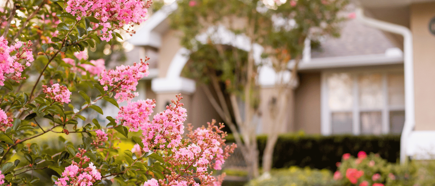 Summer is the Perfect Time to Move