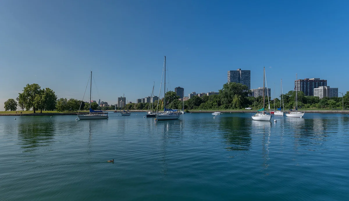 Sailboats in Montrose Harbor with North Side lakefront high-rises behind them